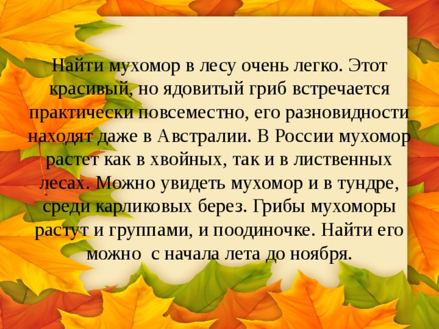 Найти мухомор в лесу очень легко. Этот красивый, но ядовитый гриб встречается практически повсеместно, его разновидности находят даже в Австралии. В России мухомор растет как в хвойных, так и в лиственных лесах. Можно увидеть мухомор и в тундре, среди карликовых берез. Грибы мухоморы растут и группами, и поодиночке. Найти его можно с начала лета до ноября. 