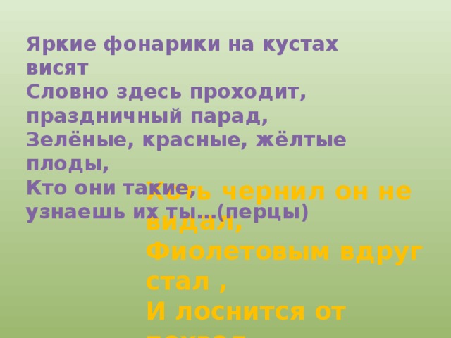 Яркие фонарики на кустах висят Словно здесь проходит, праздничный парад, Зелёные, красные, жёлтые плоды, Кто они такие, узнаешь их ты…(перцы) Хоть чернил он не видал, Фиолетовым вдруг стал , И лоснится от похвал Очень важный…(баклажан) 