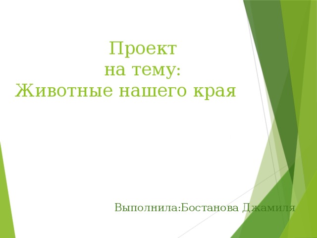  Проект  на тему:  Животные нашего края Выполнила:Бостанова Джамиля 