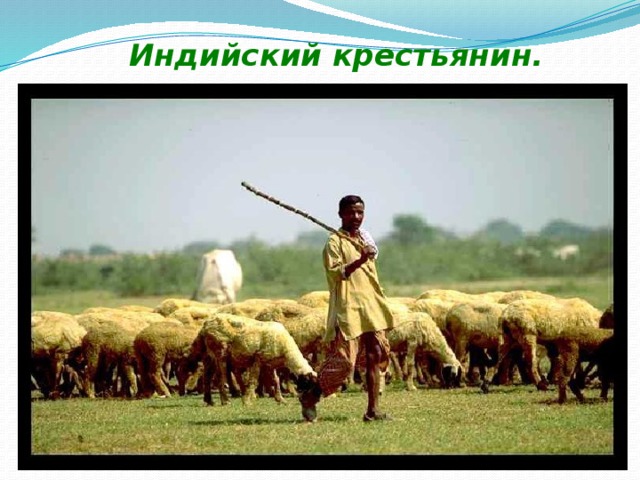 Индийский крестьянин. 