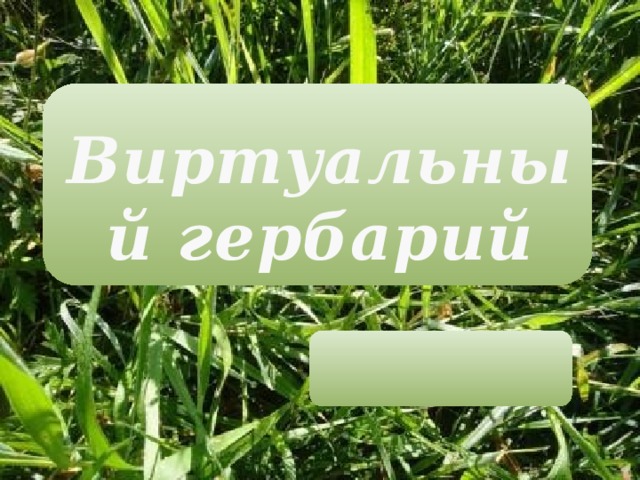 Виртуальный гербарий   