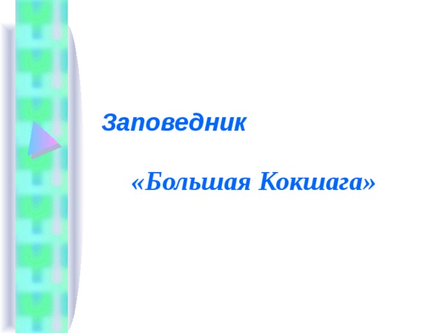«Большая Кокшага»  Заповедник   