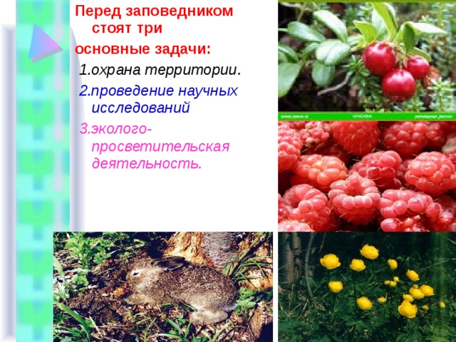 Перед заповедником стоят три основные задачи:  1.охрана территории.  2.проведение научных  исследований  3.эколого-просветительская деятельность. 
