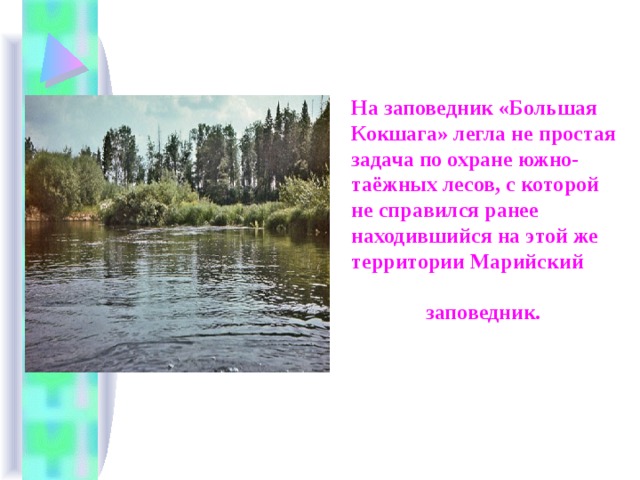 На заповедник «Большая Кокшага» легла не простая задача по охране южно-таёжных лесов, с которой не справился ранее находившийся на этой же территории Марийский заповедник. 
