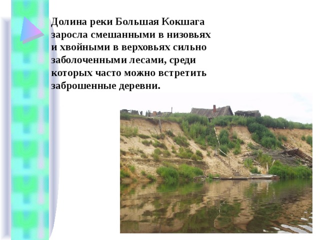 Долина реки Большая Кокшага заросла смешанными в низовьях и хвойными в верховьях сильно заболоченными лесами, среди которых часто можно встретить заброшенные деревни.  