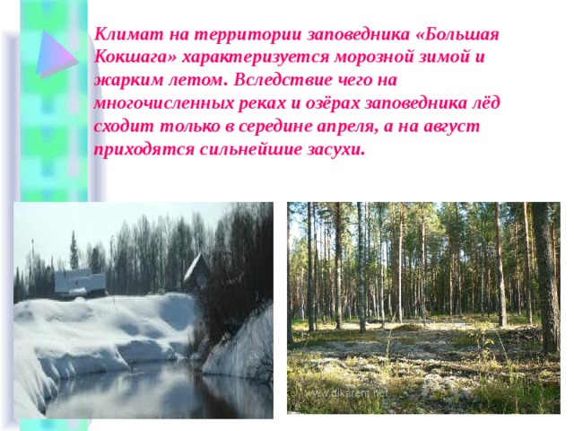 Климат на территории заповедника «Большая Кокшага» характеризуется морозной зимой и жарким летом. Вследствие чего на многочисленных реках и озёрах заповедника лёд сходит только в середине апреля, а на август приходятся сильнейшие засухи. 