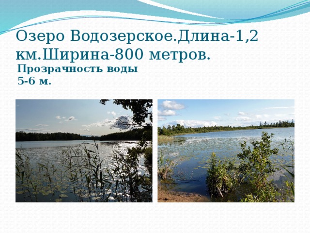 Озеро Водозерское.Длина-1,2 км.Ширина-800 метров. Прозрачность воды 5-6 м. 