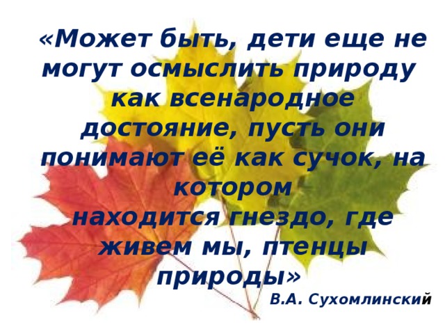 «Может быть, дети еще не могут осмыслить природу как всенародное достояние, пусть они понимают её как сучок, на котором находится гнездо, где живем мы, птенцы природы» В.А. Сухомлински й 