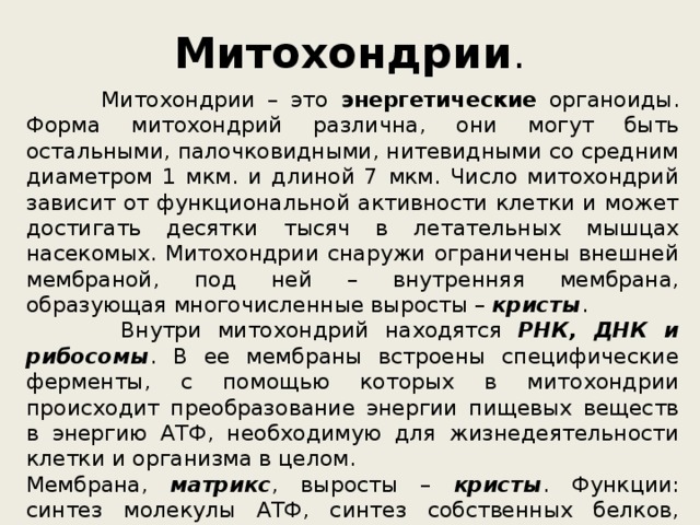 Митохондрии .  Митохондрии – это энергетические органоиды. Форма митохондрий различна, они могут быть остальными, палочковидными, нитевидными со средним диаметром 1 мкм. и длиной 7 мкм. Число митохондрий зависит от функциональной активности клетки и может достигать десятки тысяч в летательных мышцах насекомых. Митохондрии снаружи ограничены внешней мембраной, под ней – внутренняя мембрана, образующая многочисленные выросты – кристы .  Внутри митохондрий находятся РНК, ДНК и рибосомы . В ее мембраны встроены специфические ферменты, с помощью которых в митохондрии происходит преобразование энергии пищевых веществ в энергию АТФ, необходимую для жизнедеятельности клетки и организма в целом. Мембрана, матрикс , выросты – кристы . Функции: синтез молекулы АТФ, синтез собственных белков, нуклеиновых кислот, углеводов, липидов, образование собственных рибосом. 