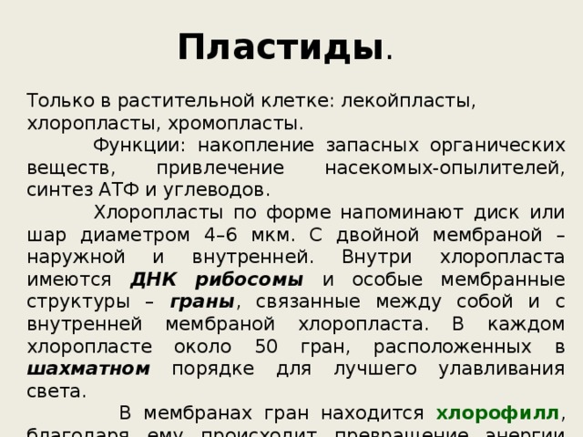 Пластиды . Только в растительной клетке: лекойпласты, хлоропласты, хромопласты.  Функции: накопление запасных органических веществ, привлечение насекомых-опылителей, синтез АТФ и углеводов.  Хлоропласты по форме напоминают диск или шар диаметром 4–6 мкм. С двойной мембраной – наружной и внутренней. Внутри хлоропласта имеются ДНК рибосомы и особые мембранные структуры – граны , связанные между собой и с внутренней мембраной хлоропласта. В каждом хлоропласте около 50 гран, расположенных в шахматном порядке для лучшего улавливания света.  В мембранах гран находится хлорофилл , благодаря ему происходит превращение энергии солнечного света в химическую энергию АТФ. Энергия АТФ используется в хлоропластах для синтеза органических соединений, в первую очередь углеводов. 
