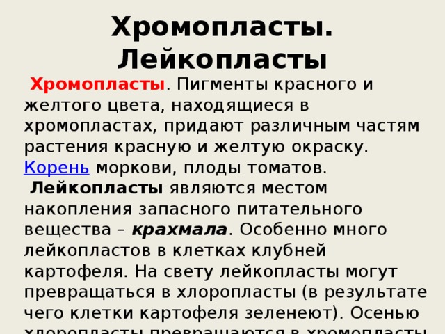 Хромопласты. Лейкопласты  Хромопласты . Пигменты красного и желтого цвета, находящиеся в хромопластах, придают различным частям растения красную и желтую окраску.  Корень  моркови, плоды томатов.  Лейкопласты являются местом накопления запасного питательного вещества – крахмала . Особенно много лейкопластов в клетках клубней картофеля. На свету лейкопласты могут превращаться в хлоропласты (в результате чего клетки картофеля зеленеют). Осенью хлоропласты превращаются в хромопласты и зеленые листья и плоды желтеют и краснеют. 