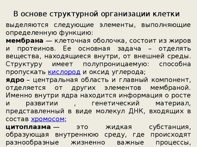 В основе структурной организации клетки выделяются следующие элементы, выполняющие определенную функцию: мембрана  — клеточная оболочка, состоит из жиров и протеинов. Ее основная задача – отделять вещества, находящиеся внутри, от внешней среды. Структуру имеет полупроницаемую: способна пропускать  кислород  и оксид углерода; ядро  – центральная область и главный компонент, отделяется от других элементов мембраной. Именно внутри ядра находится информация о росте и развитии , генетический материал, представленный в виде молекул ДНК, входящих в состав  хромосом ; цитоплазма  — это жидкая субстанция, образующая внутреннюю среду, где происходят разнообразные жизненно важные процессы, содержит в себе очень много важных компонентов . 