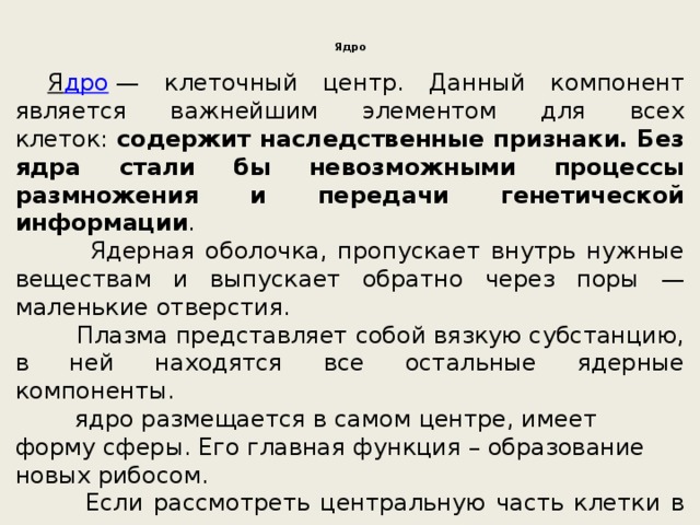 Ядро     Я дро  — клеточный центр. Данный компонент является важнейшим элементом для всех клеток:  содержит наследственные признаки. Без ядра стали бы невозможными процессы размножения и передачи генетической информации .  Ядерная оболочка, пропускает внутрь нужные веществам и выпускает обратно через поры — маленькие отверстия.  Плазма представляет собой вязкую субстанцию, в ней находятся все остальные ядерные компоненты.  ядро размещается в самом центре, имеет форму сферы. Его главная функция – образование новых рибосом.  Если рассмотреть центральную часть клетки в разрезе, то можно увидеть малозаметные синие переплетения — хроматин , главное вещество, который состоит из комплекса белков и длинных нитей ДНК, несущих в себе необходимую информацию. 