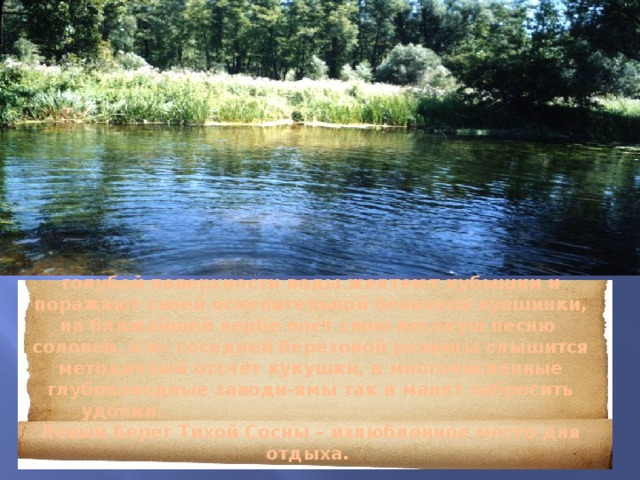   Спустимся вниз и подойдём к прохладной воде. На голубой поверхности воды желтеют кубышки и поражают своей ослепительной белизной кувшинки, на ближайшей вербе поёт свою весёлую песню соловей, а из соседней берёзовой рощицы слышится методичный отсчёт кукушки, а многочисленные глубоководные заводи-ямы так и манят забросить удочки.   Левый берег Тихой Сосны – излюбленное место для отдыха.         
