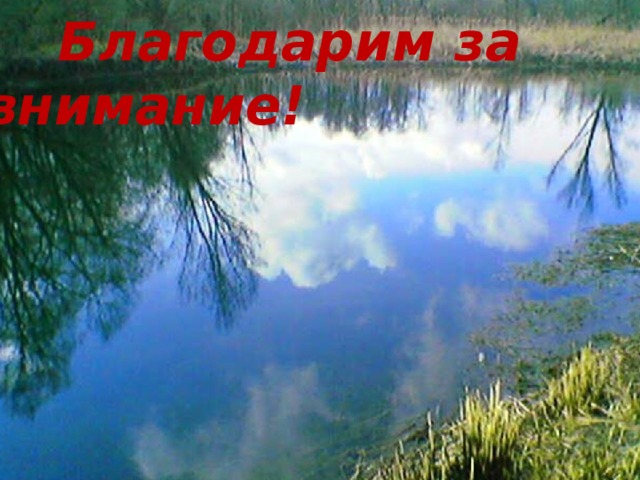  Благодарим за внимание!   
