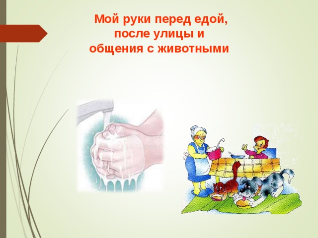 Мой руки перед едой, после улицы и общения с животными  