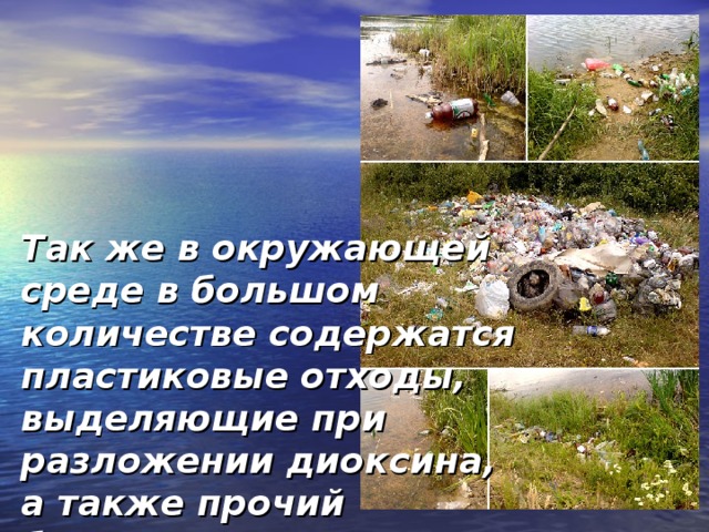 Так же в окружающей среде в большом количестве содержатся пластиковые отходы, выделяющие при разложении диоксина, а также прочий бытовой и производственный мусор 