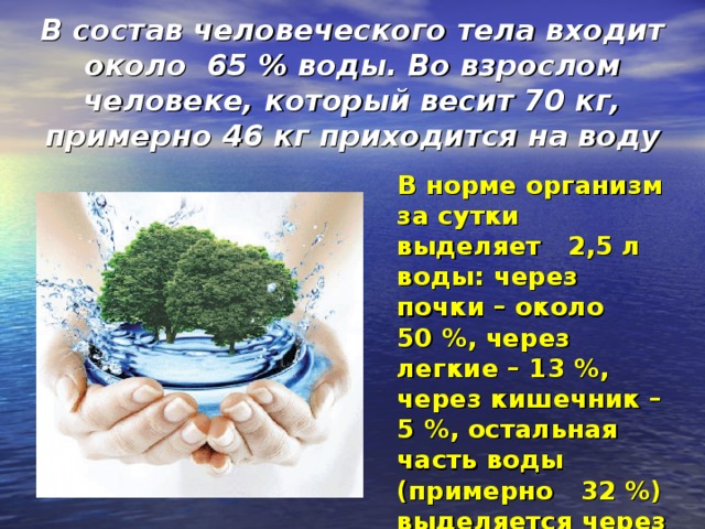 В состав человеческого тела входит около 65 % воды. Во взрослом человеке, который весит 70 кг, примерно 46 кг приходится на воду     В норме организм за сутки выделяет 2,5 л воды: через почки – около 50 %, через легкие – 13 %, через кишечник – 5 %, остальная часть воды (примерно 32 %) выделяется через кожу. 