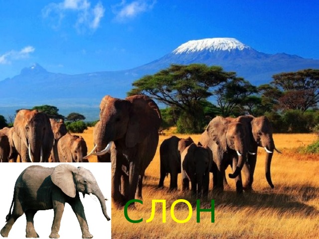  С ЛО Н 