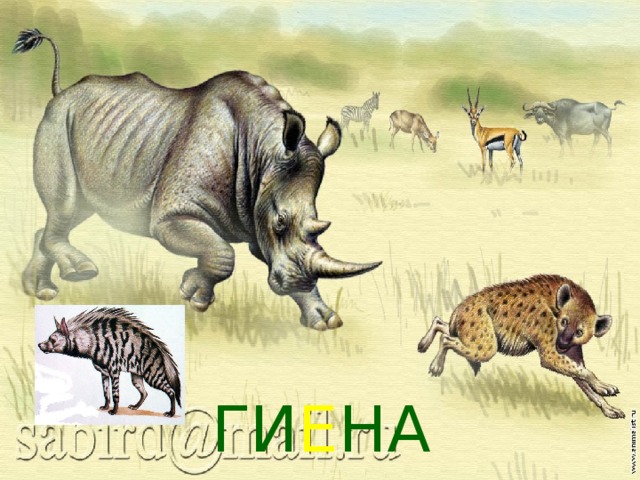 ГИ Е НА 