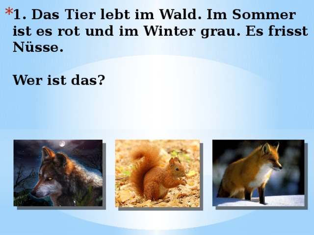 1. Das Tier lebt im Wald. Im Sommer ist es rot und im Winter grau. Es frisst Nüsse.   Wer ist das?    