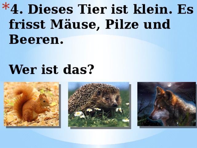 4. Dieses Tier ist klein. Es frisst Mäuse, Pilze und Beeren.   Wer ist das? 
