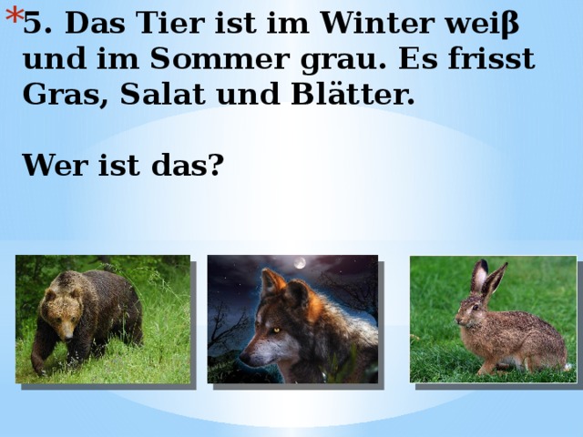 5. Das Tier ist im Winter weiβ und im Sommer grau. Es frisst Gras, Salat und Blätter.   Wer ist das? 
