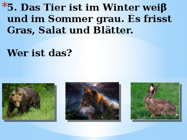 5. Das Tier ist im Winter weiβ und im Sommer grau. Es frisst Gras, Salat und Blätter.   Wer ist das? 