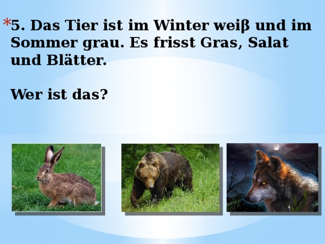 5. Das Tier ist im Winter weiβ und im Sommer grau. Es frisst Gras, Salat und Blätter.   Wer ist das? 