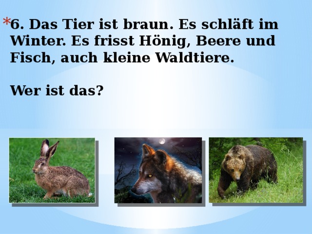 6. Das Tier ist braun. Es schläft im Winter. Es frisst Hönig, Beere und Fisch, auch kleine Waldtiere.   Wer ist das? 
