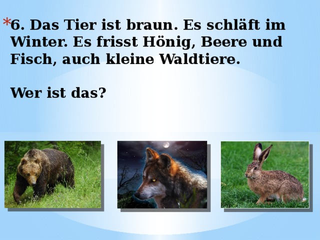 6. Das Tier ist braun. Es schläft im Winter. Es frisst Hönig, Beere und Fisch, auch kleine Waldtiere.   Wer ist das? 
