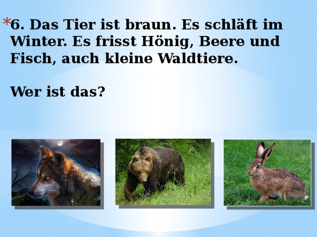 6. Das Tier ist braun. Es schläft im Winter. Es frisst Hönig, Beere und Fisch, auch kleine Waldtiere.   Wer ist das? 
