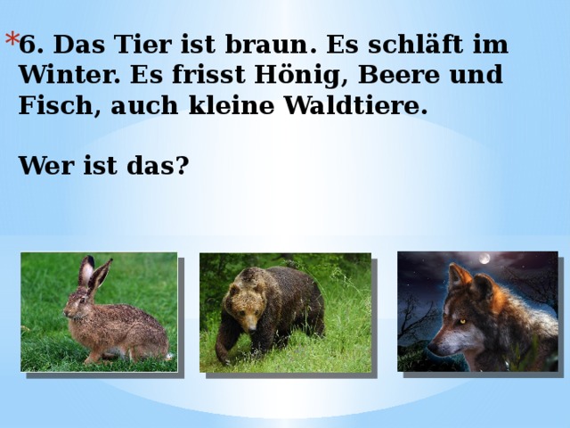 6. Das Tier ist braun. Es schläft im Winter. Es frisst Hönig, Beere und Fisch, auch kleine Waldtiere.   Wer ist das? 
