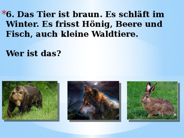6. Das Tier ist braun. Es schläft im Winter. Es frisst Hönig, Beere und Fisch, auch kleine Waldtiere.   Wer ist das? 