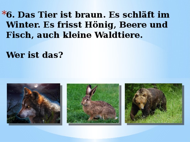 6. Das Tier ist braun. Es schläft im Winter. Es frisst Hönig, Beere und Fisch, auch kleine Waldtiere.   Wer ist das? 