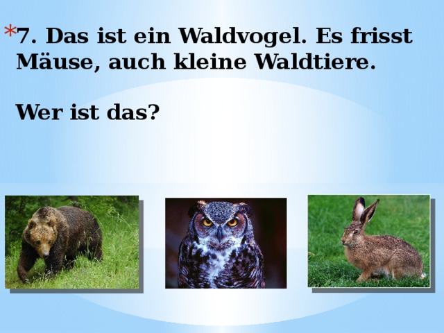 7. Das ist ein Waldvogel. Es frisst Mäuse, auch kleine Waldtiere.   Wer ist das? 