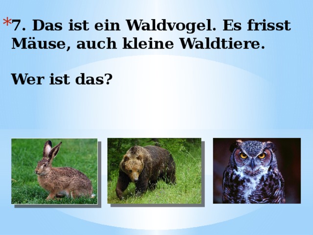 7. Das ist ein Waldvogel. Es frisst Mäuse, auch kleine Waldtiere.   Wer ist das? 