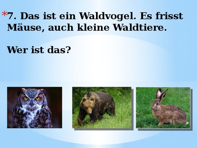 7. Das ist ein Waldvogel. Es frisst Mäuse, auch kleine Waldtiere.   Wer ist das? 
