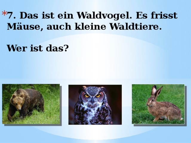 7. Das ist ein Waldvogel. Es frisst Mäuse, auch kleine Waldtiere.   Wer ist das? 
