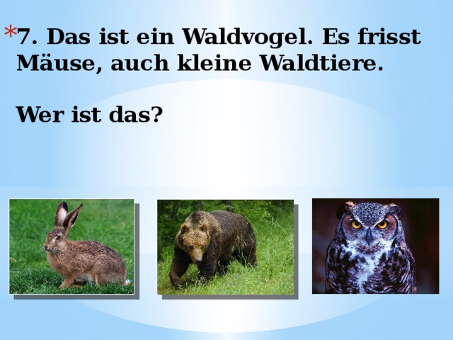 7. Das ist ein Waldvogel. Es frisst Mäuse, auch kleine Waldtiere.   Wer ist das? 
