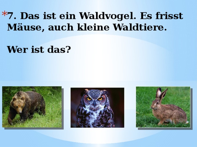 7. Das ist ein Waldvogel. Es frisst Mäuse, auch kleine Waldtiere.   Wer ist das? 