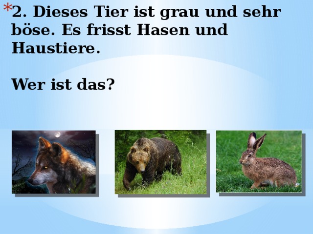 2. Dieses Tier ist grau und sehr böse. Es frisst Hasen und Haustiere.    Wer ist das? 