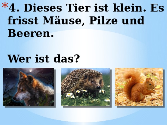 4. Dieses Tier ist klein. Es frisst Mäuse, Pilze und Beeren.   Wer ist das? 