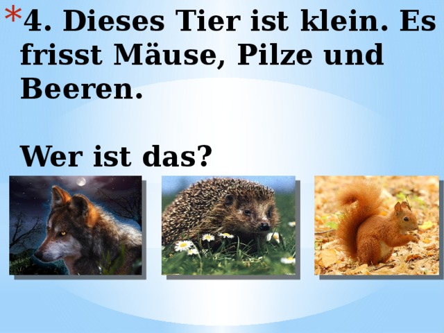 4. Dieses Tier ist klein. Es frisst Mäuse, Pilze und Beeren.   Wer ist das? 
