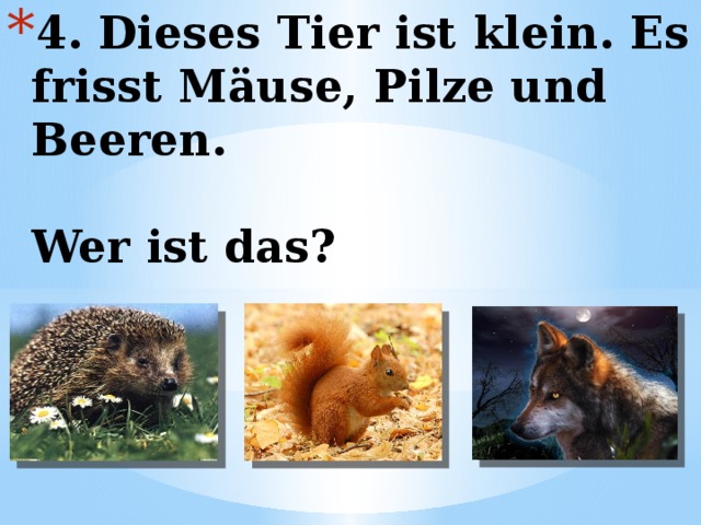 4. Dieses Tier ist klein. Es frisst Mäuse, Pilze und Beeren.   Wer ist das? 