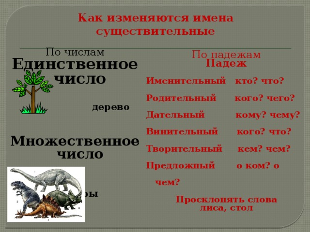 Как изменяются имена существительные По числам Единственное число   дерево   Множественное число   динозавры   По падежам Падеж Именительный кто? что? Родительный кого? чего? Дательный кому? чему? Винительный кого? что? Творительный кем? чем? Предложный о ком? о чем?  Просклонять слова лиса, стол 