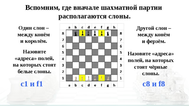 Вспомним, где вначале шахматной партии располагаются слоны. Один слон – между конём и королём. Другой слон – между конём и ферзём. Назовите «адреса» полей, на которых стоят белые слоны. Назовите «адреса» полей, на которых стоят чёрные слоны. с1 и f1 с8 и f8 