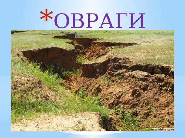 ОВРАГИ 