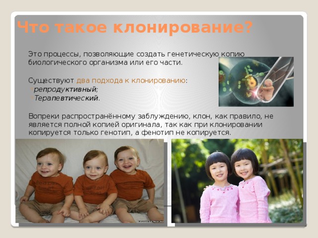 Что такое клонирование?  Это процессы, позволяющие создать генетическую копию биологического организма или его части.  Существуют два подхода к клонированию : репродуктивный; Терапевтический. репродуктивный; Терапевтический.  Вопреки распространённому заблуждению, клон, как правило, не является полной копией оригинала, так как при клонировании копируется только генотип, а фенотип не копируется. 