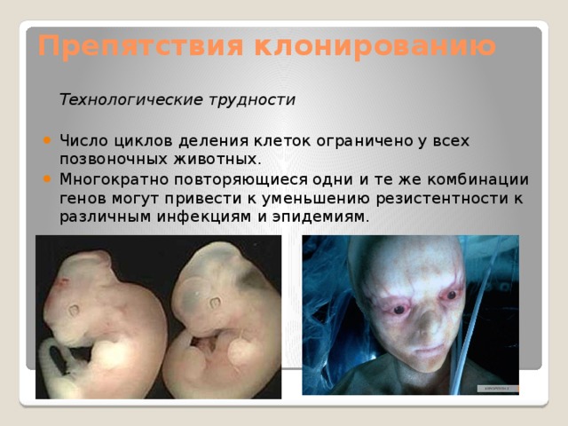 Препятствия клонированию    Технологические трудности Число циклов деления клеток ограничено у всех позвоночных животных. Многократно повторяющиеся одни и те же комбинации генов могут привести к уменьшению резистентности к различным инфекциям и эпидемиям. 